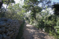 Cesta na Krcalo a Slatinu